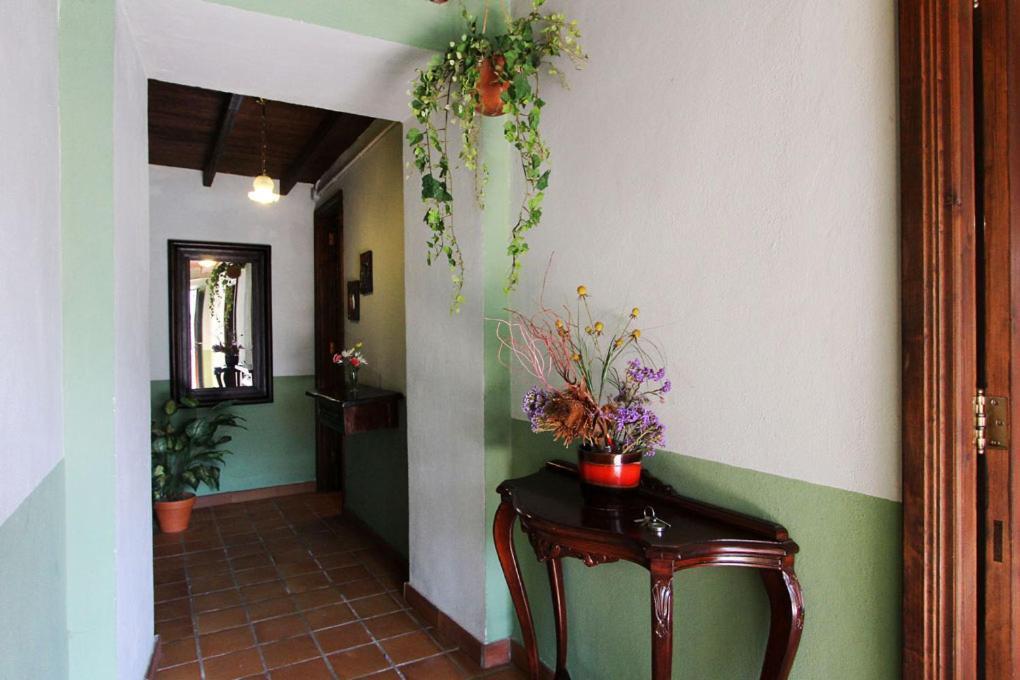 Casa Rural Los Aromos - Wunderschönes Landhaus mit Meerblick Hermigua Exterior foto